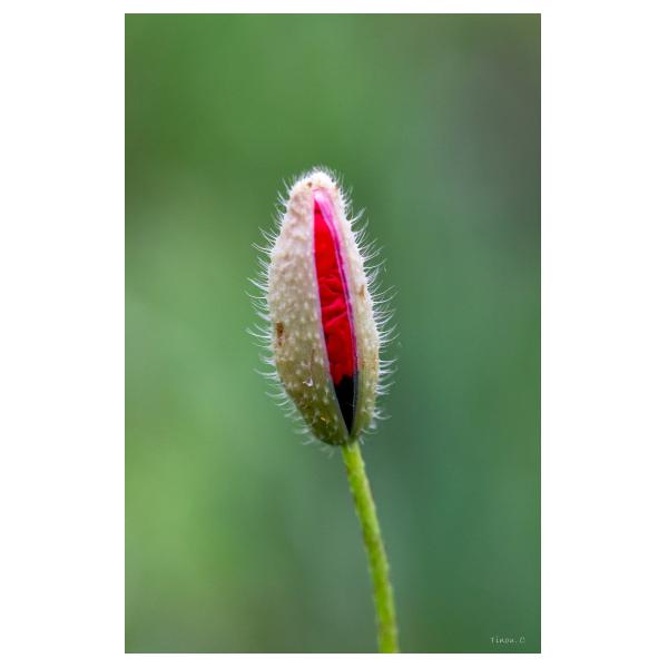 PHOTO84, CLUB, 84 , LUBERON